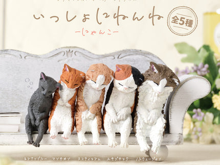[NEW] Sleeping Together - Kitten (Box of 10)