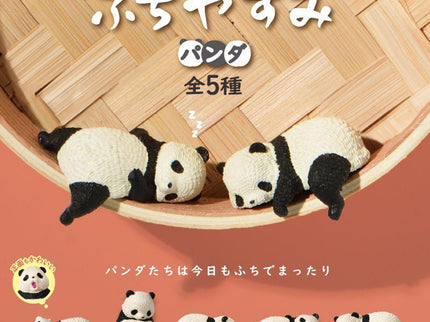 [Restock] Fuchi Yasumi Panda (Box of 10)