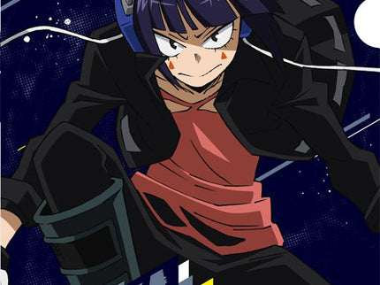 [SALE] My Hero Academia - File Folder