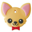 Chihuahua #1