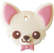 Chihuahua #2
