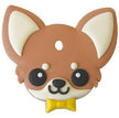 Chihuahua #3