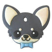 Chihuahua #4