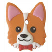 Welsh Corgi