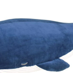 Blue Whale Kanaloa